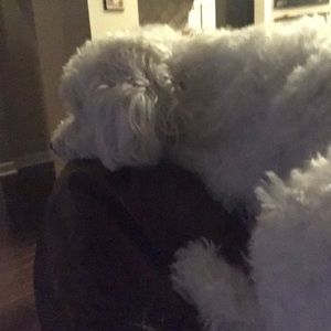 Meet your Posher, Stephen